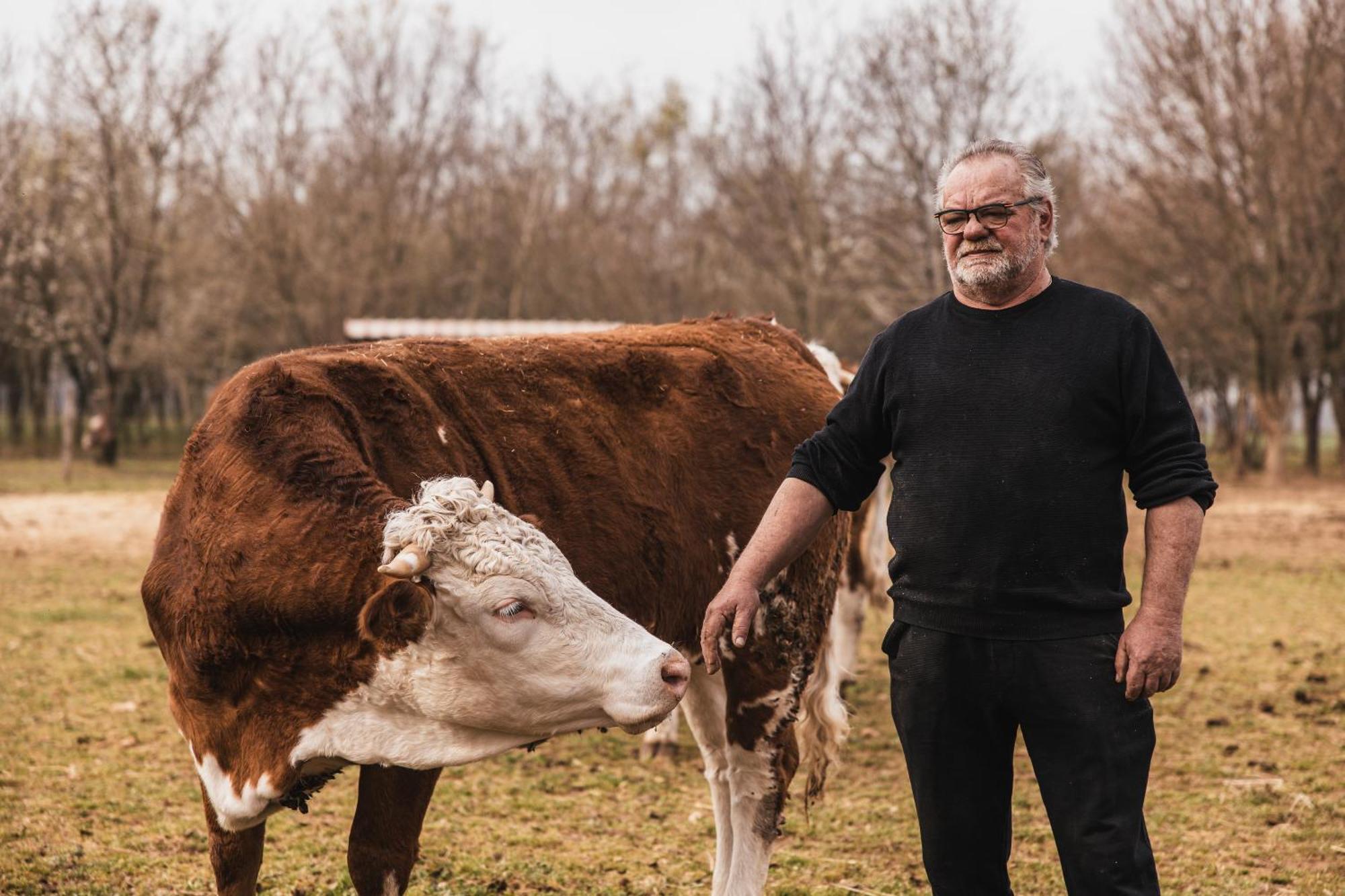 Agriturismo Borg Da Ocjs Medea Екстериор снимка
