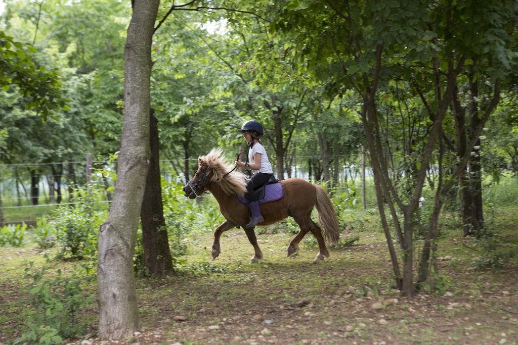 Agriturismo Borg Da Ocjs Medea Екстериор снимка